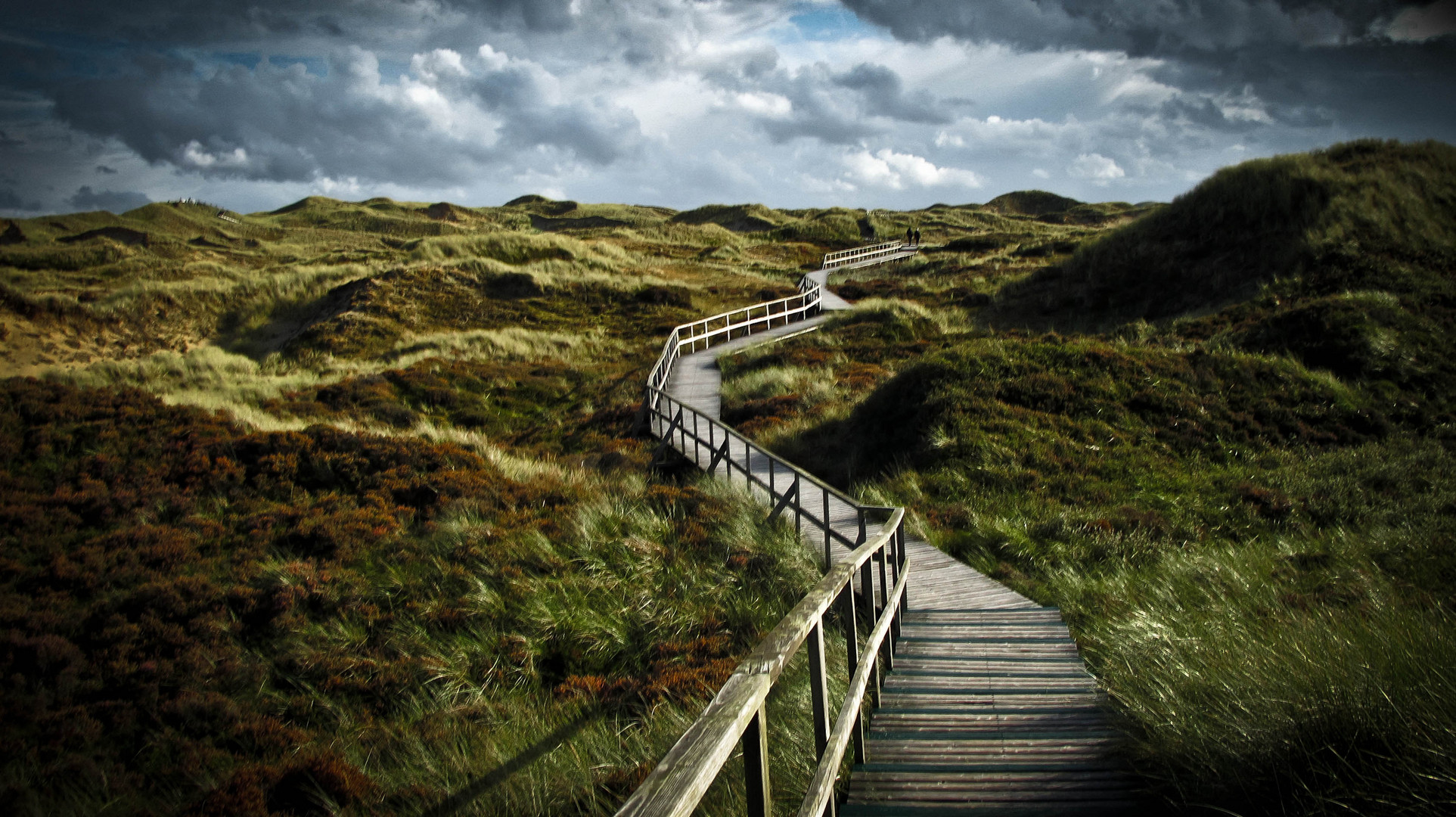 Dünenlandschaft auf Amrum