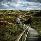 Dünenlandschaft auf Amrum