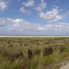 Dünenlandschaft auf Borkum