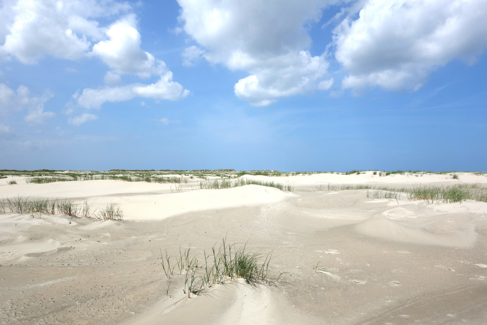 Dünenlandschaft auf der Insel Borkum