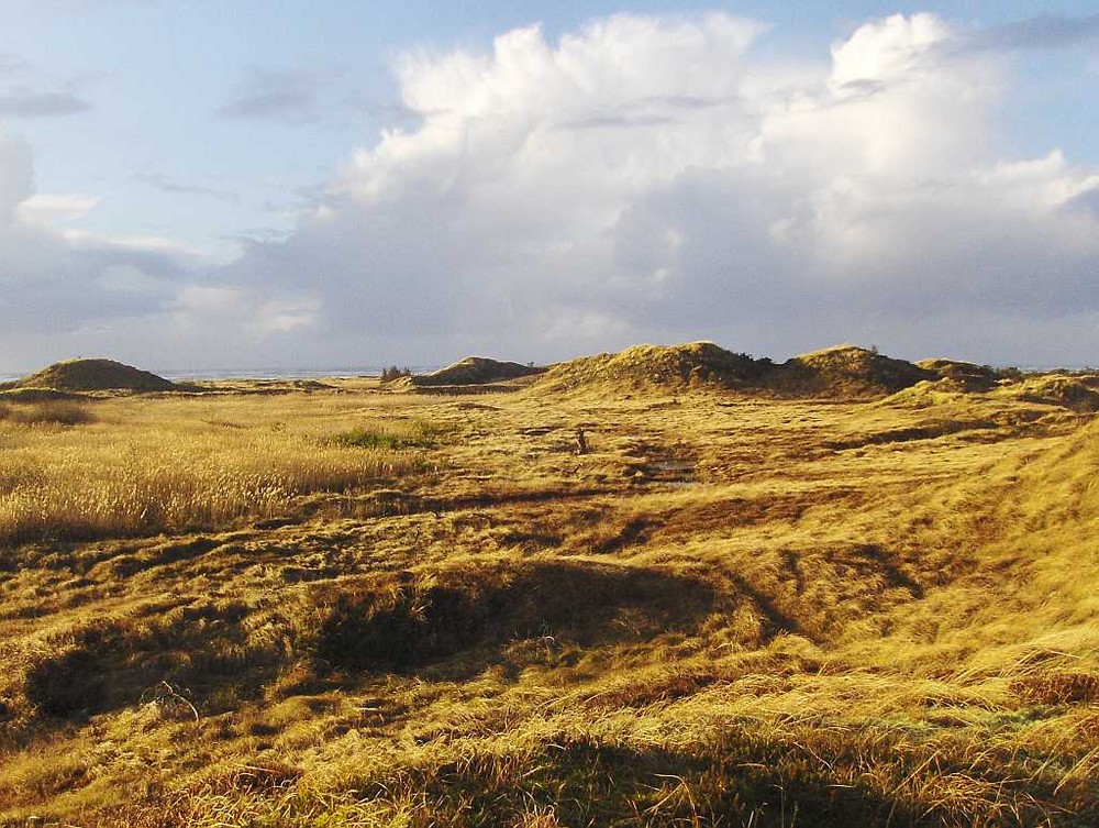 Dünenlandschaft auf Fanø im Dezember