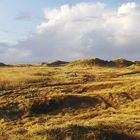 Dünenlandschaft auf Fanø im Dezember