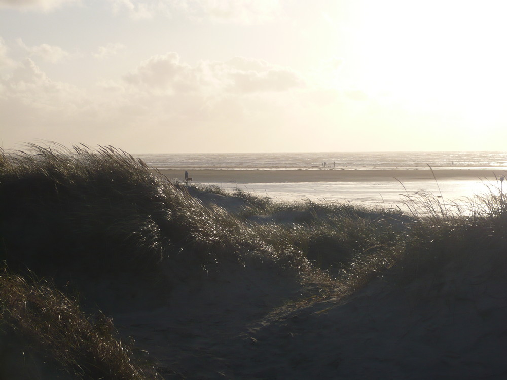 Dünenlandschaft auf Fanö