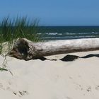 Dünenlandschaft auf Langeoog