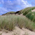 Dünenlandschaft auf Sylt