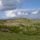 Dünenlandschaft auf Sylt