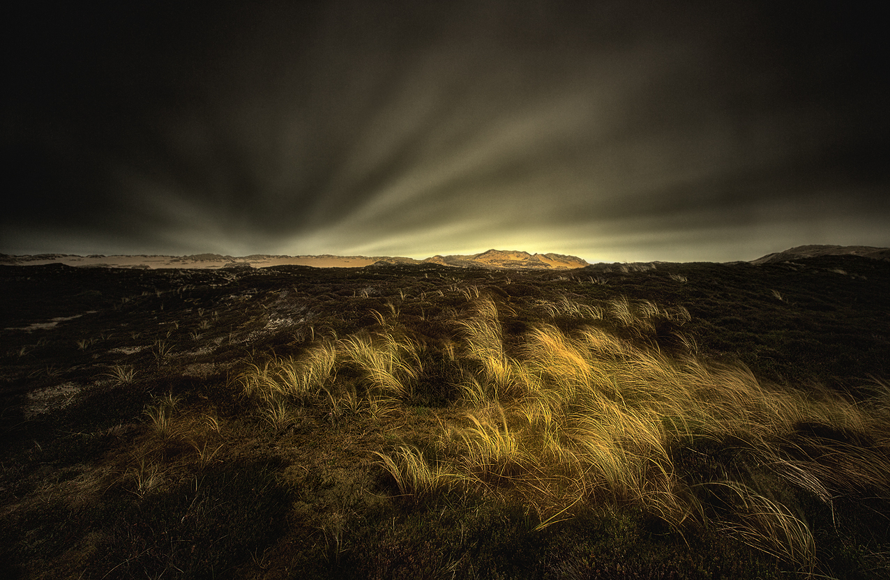 Dünenlandschaft auf Sylt