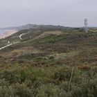 Dünenlandschaft auf Walcheren Nahe Dishoek