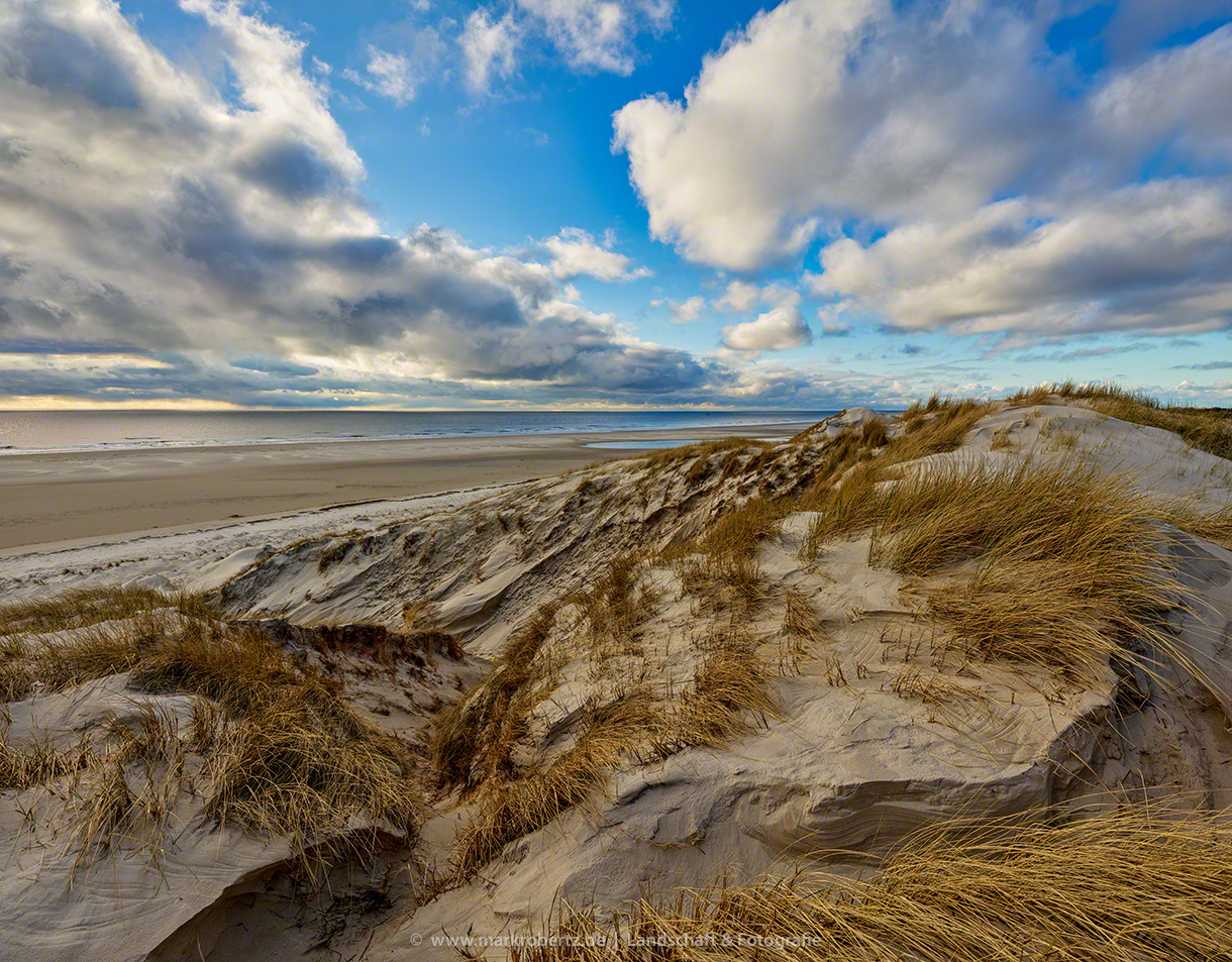 Düne[n]Landschaft