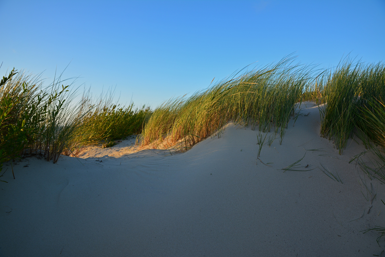 Dünenlandschaft