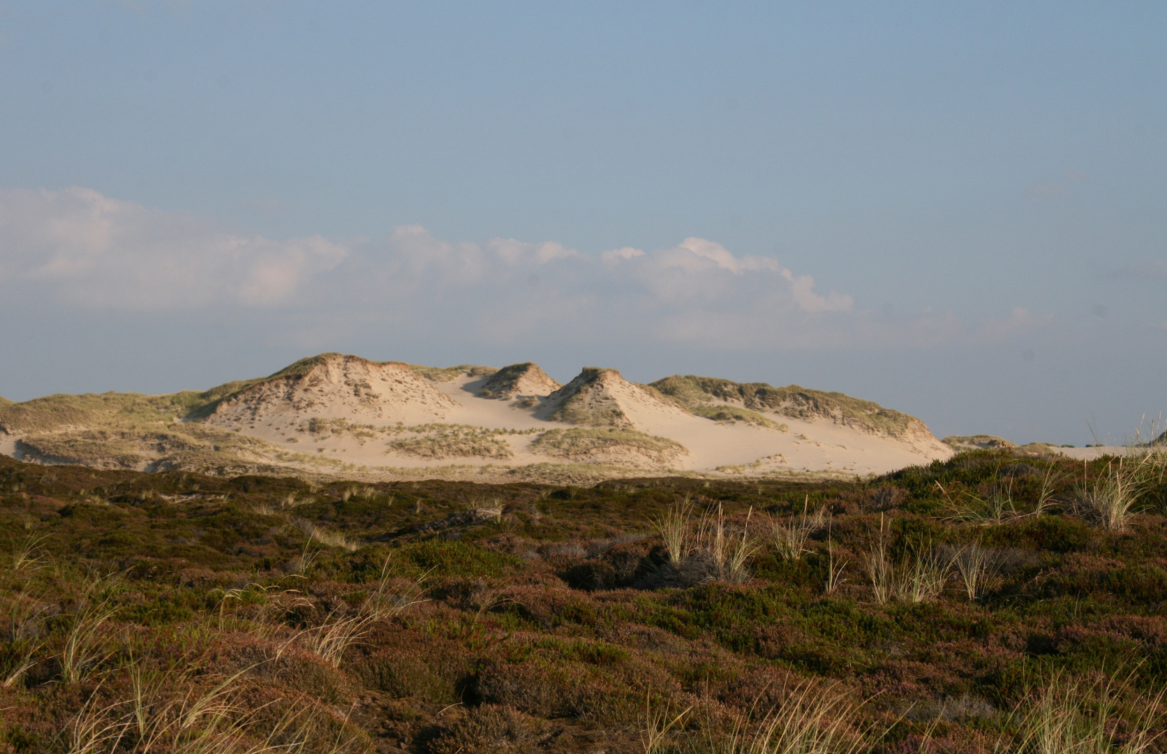 Dünenlandschaft