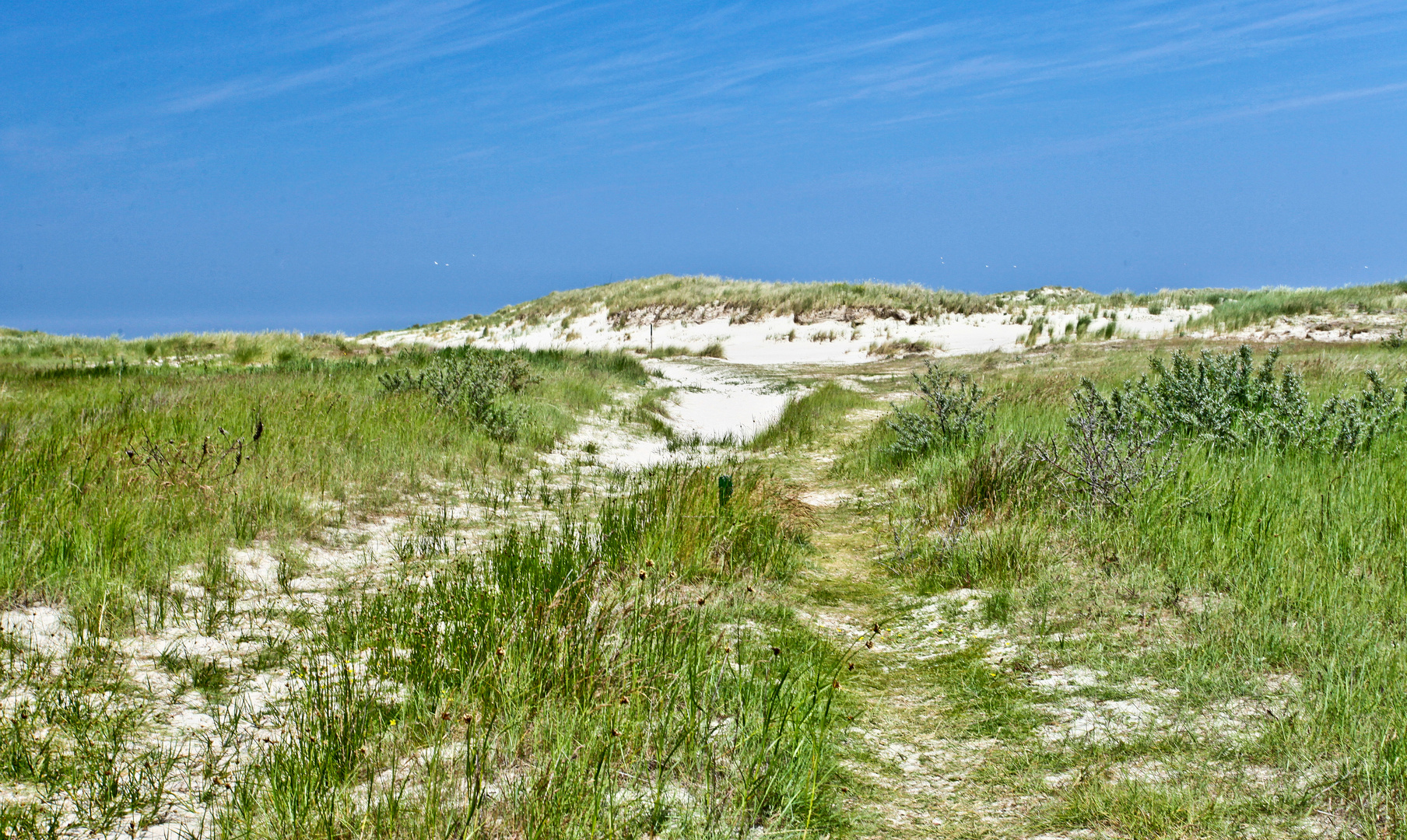 Dünenlandschaft