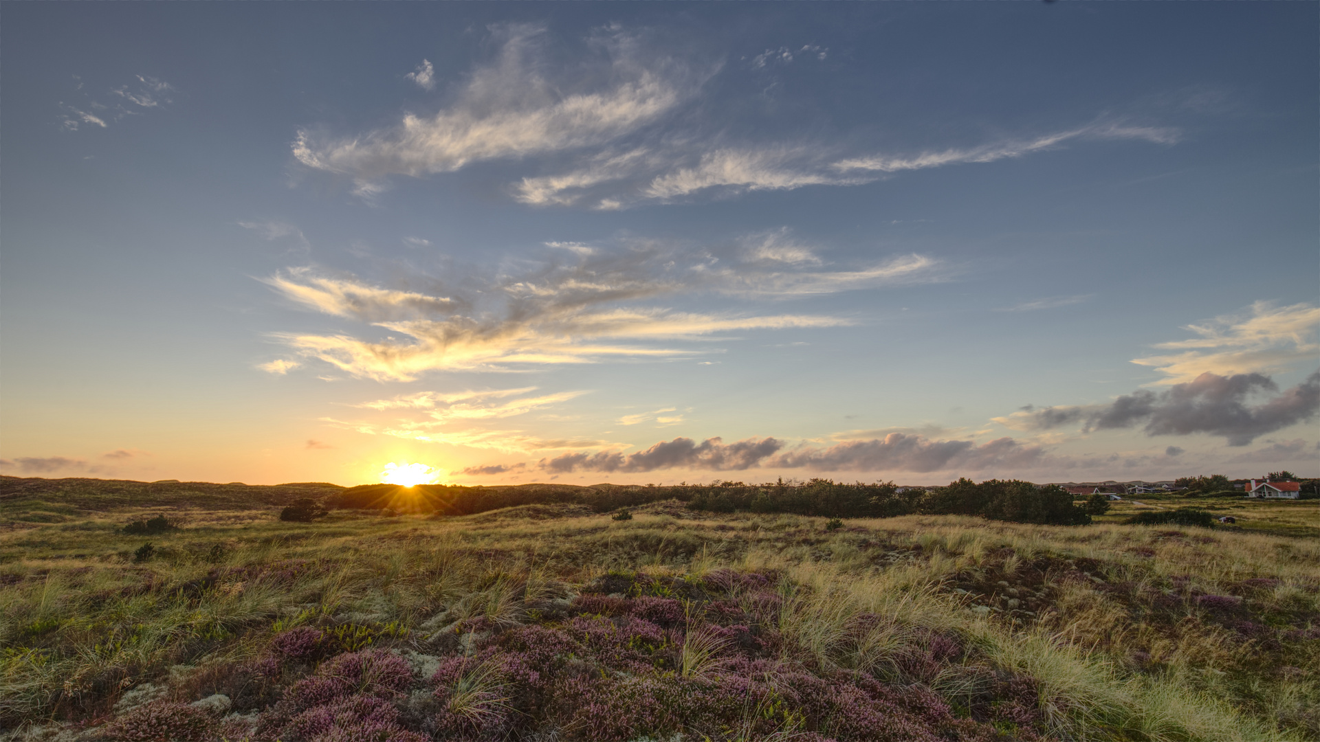 *** Dünenlandschaft bei Bjerregård ***