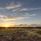 *** Dünenlandschaft bei Bjerregård ***