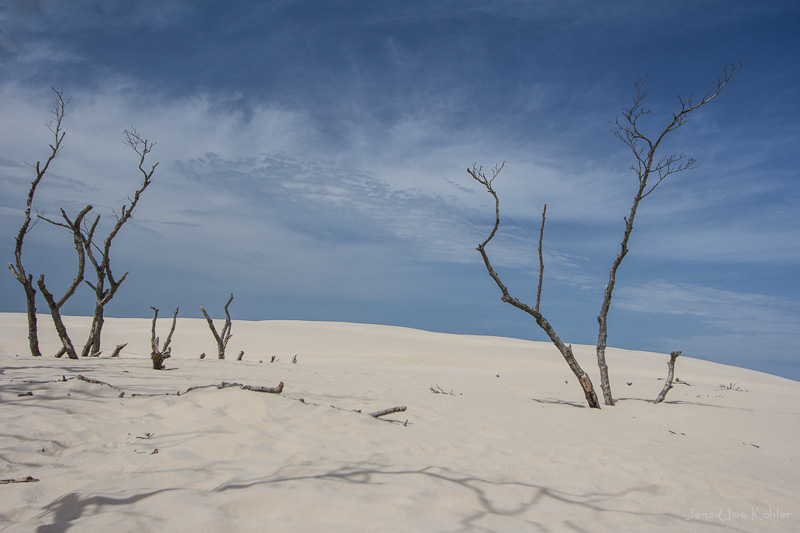 Dünenlandschaft bei Leba (Polen)