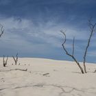 Dünenlandschaft bei Leba (Polen)