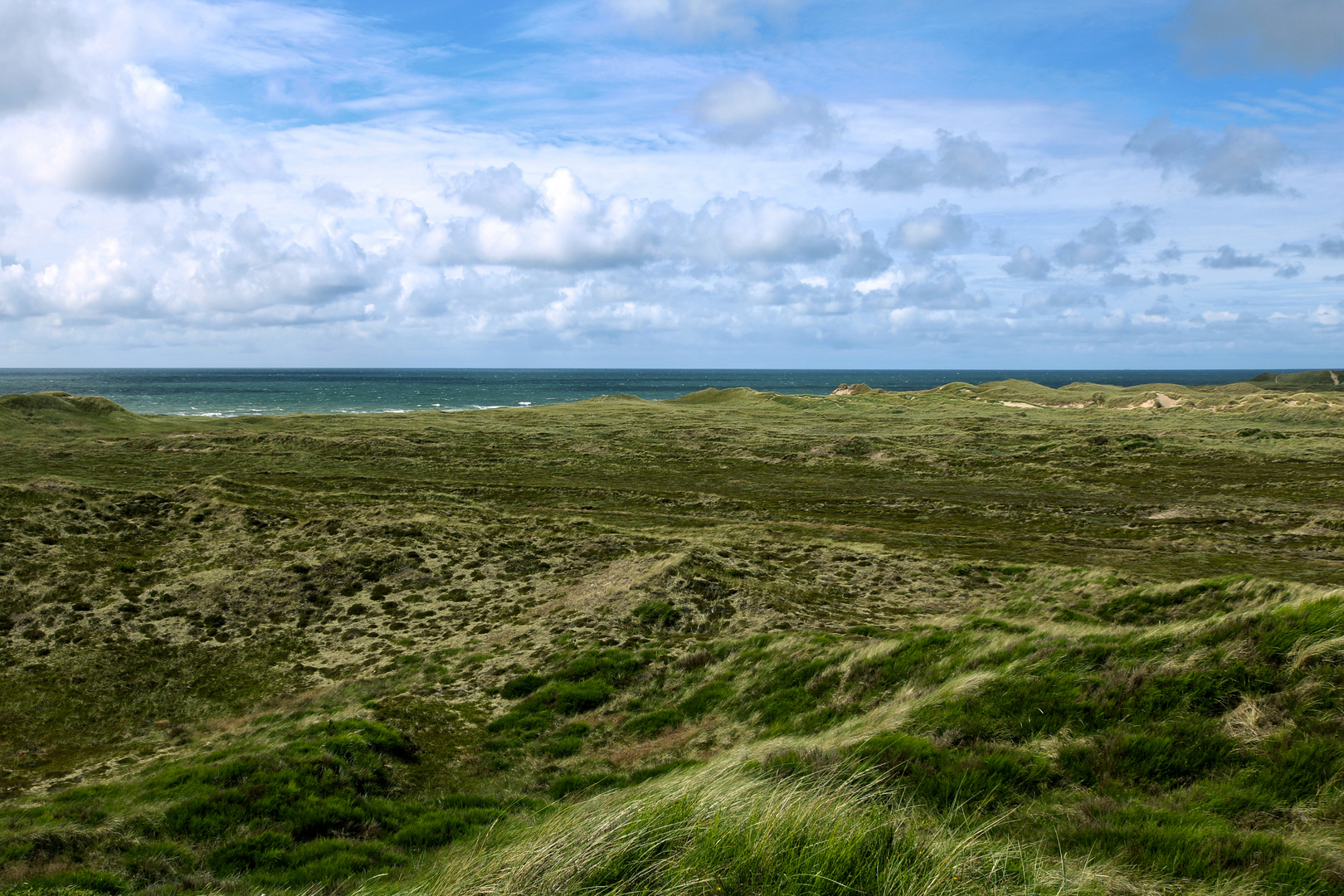 Dünenlandschaft bei Lodbjerg Fyr