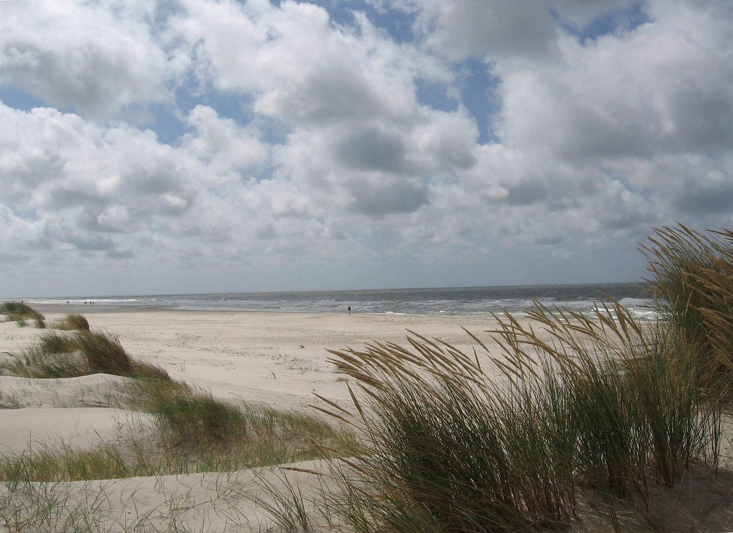 Dünenlandschaft bei Norddorf (Amrum)