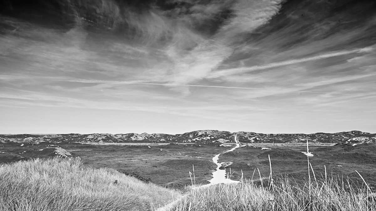 Dünenlandschaft bei Rantum in s/w (Sylt, Schleswig-Holstein)