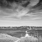 Dünenlandschaft bei Rantum in s/w (Sylt, Schleswig-Holstein)