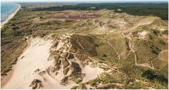 Dünenlandschaft bei Skagen