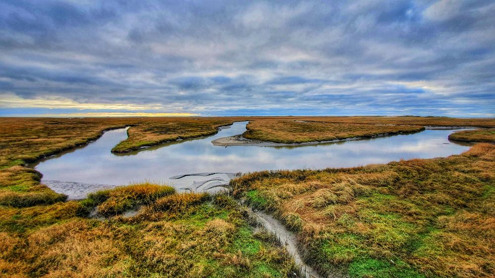 Dünenlandschaft. Foto & Bild | nature, wasser, wiese Bilder auf
