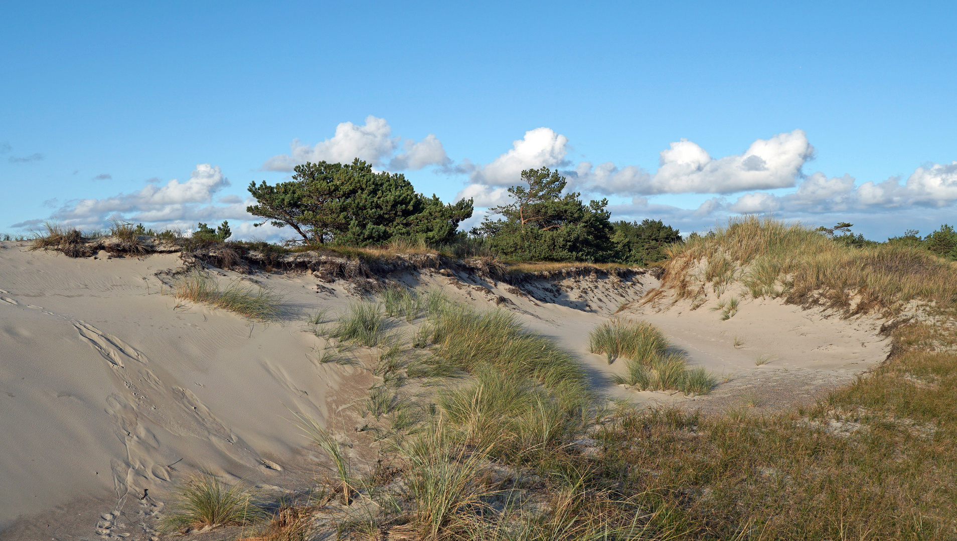 Dünenlandschaft