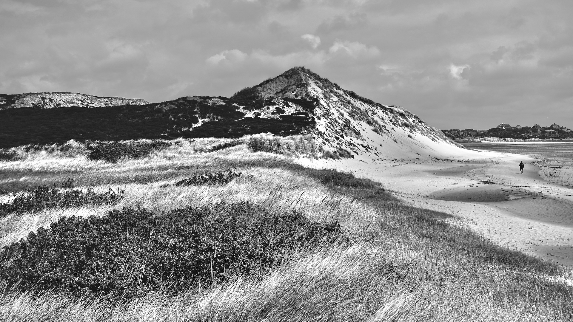 Dünenlandschaft