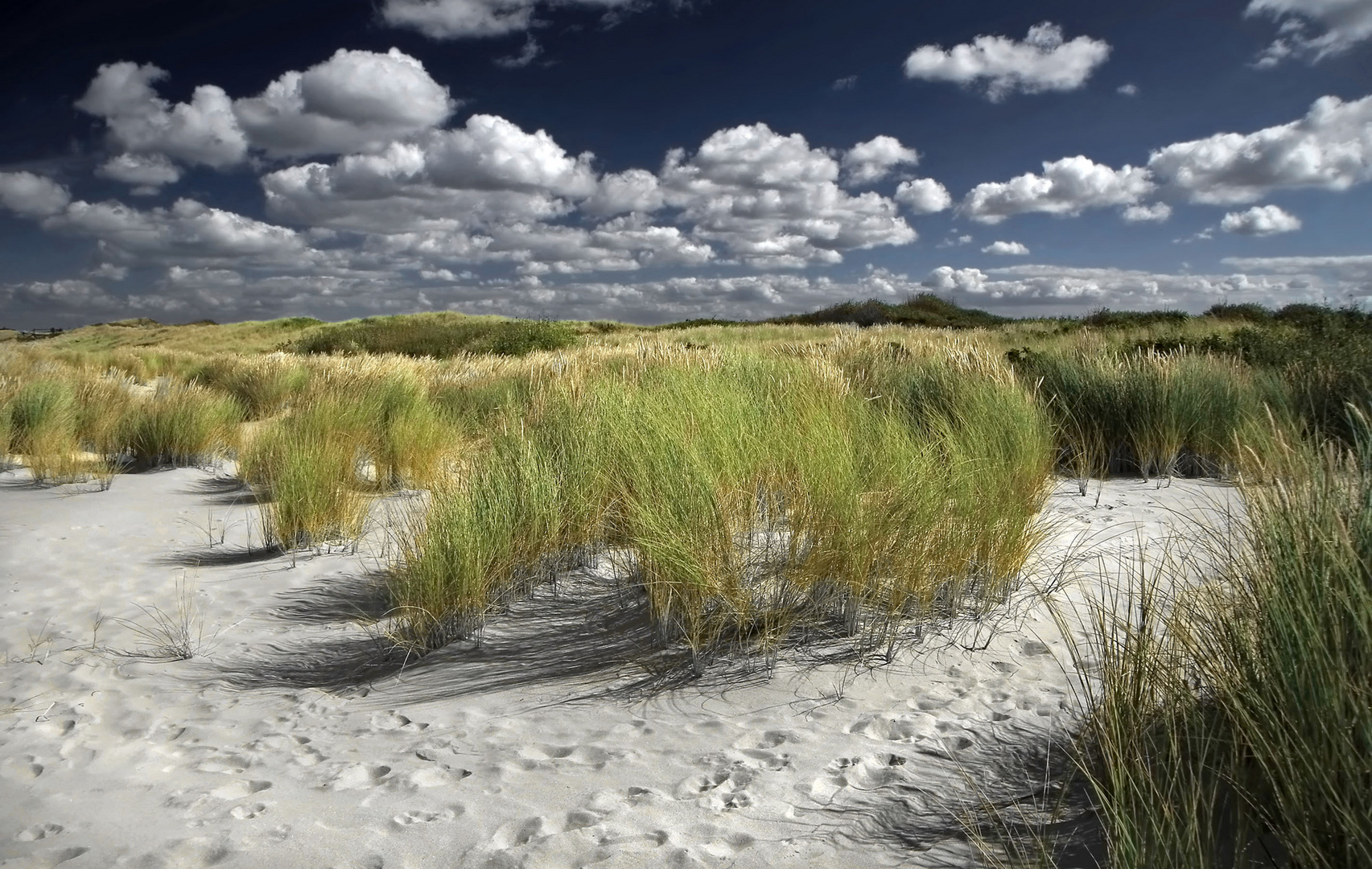 Dünenlandschaft