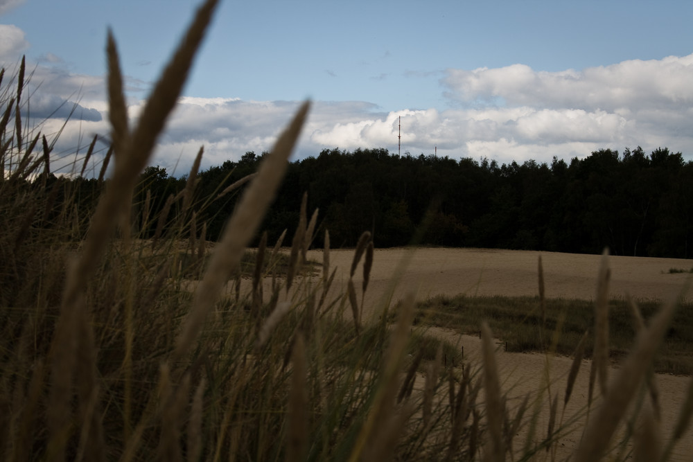 Dünenlandschaft