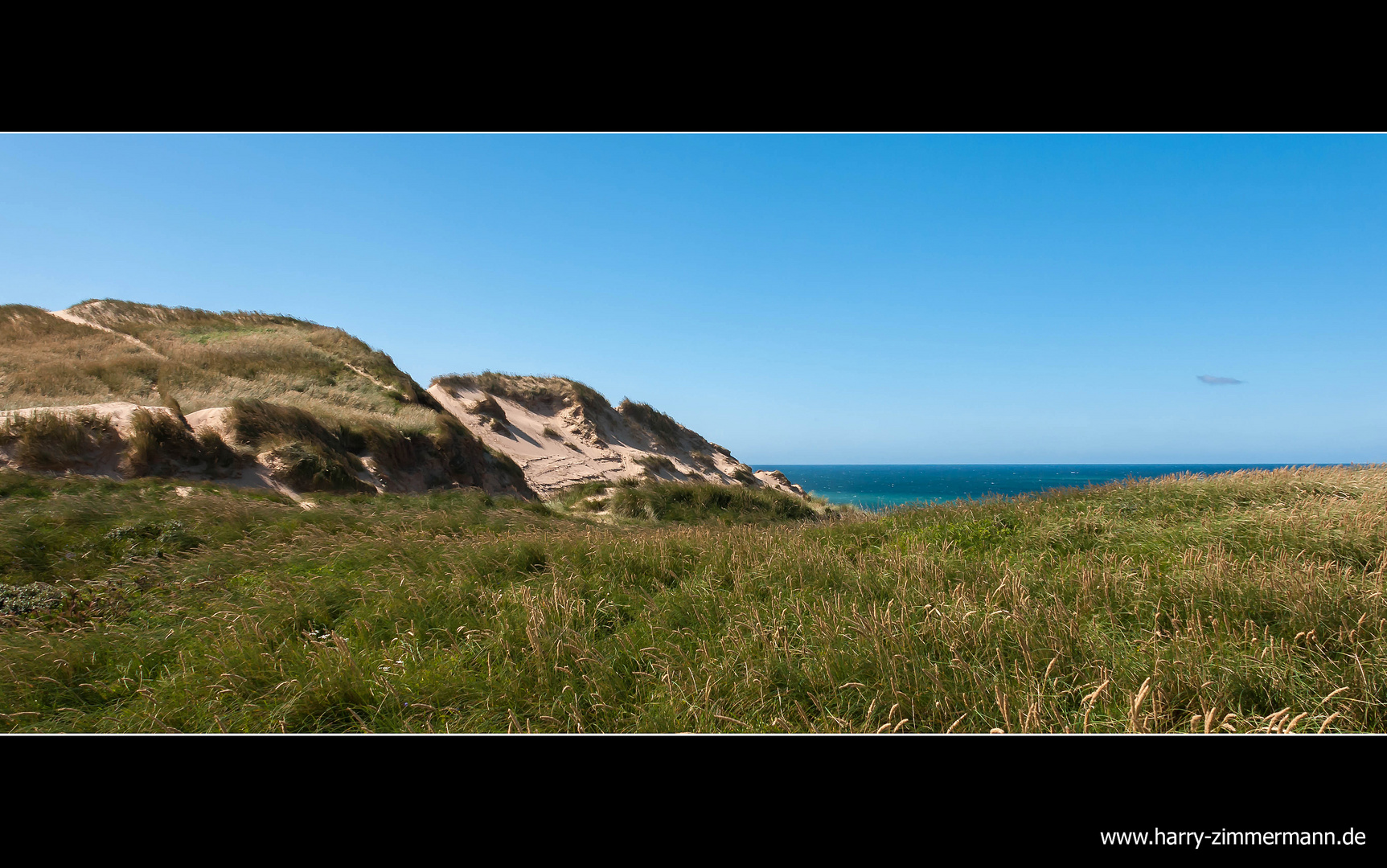 Dünenlandschaft