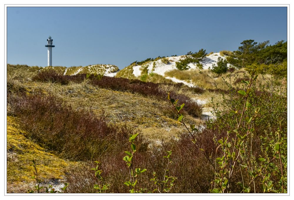 Dünenlandschaft