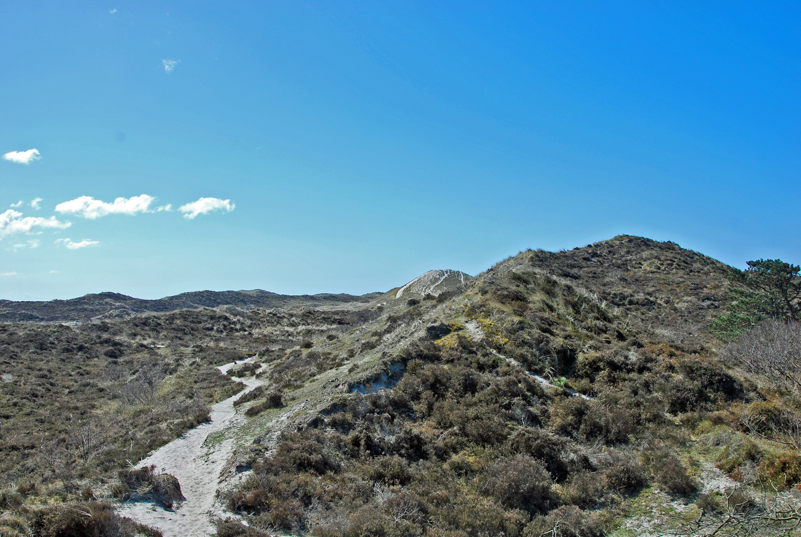 Dünenlandschaft