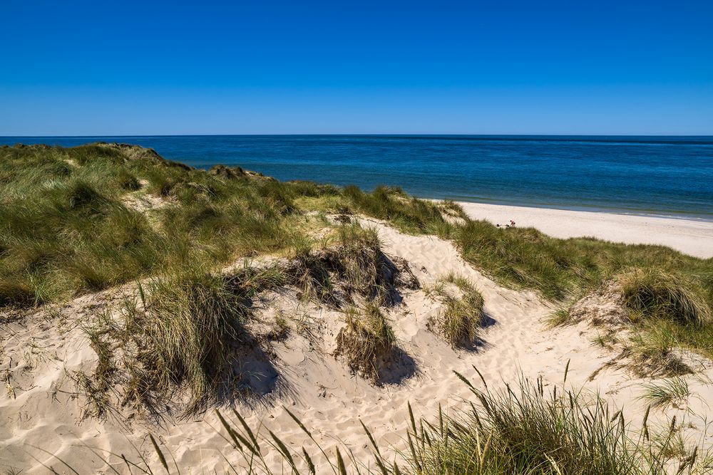 Dünenlandschaft, Ellenbogen/Sylt