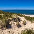 Dünenlandschaft, Ellenbogen/Sylt