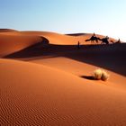 Dünenlandschaft Erg Chebbi Nr.6