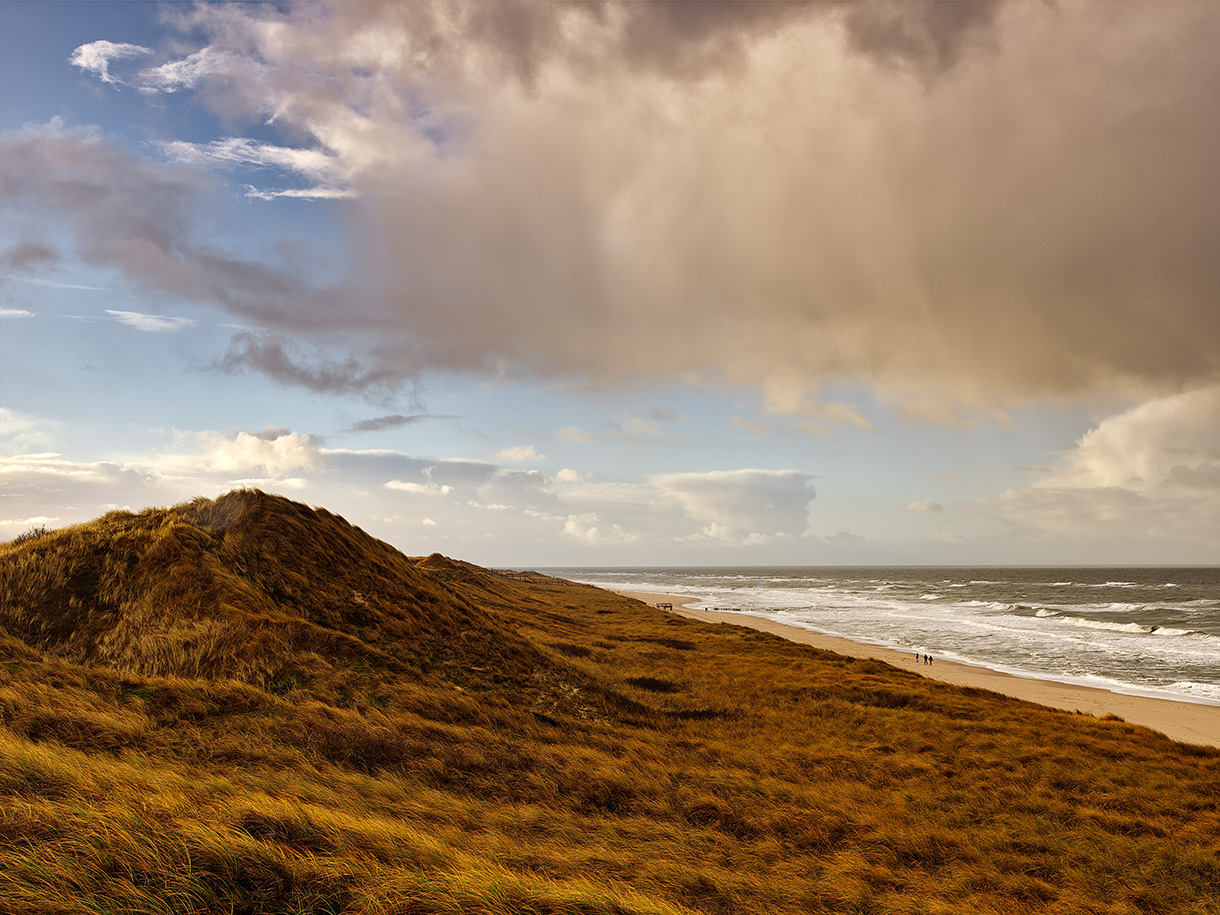 Dünen|Landschaft