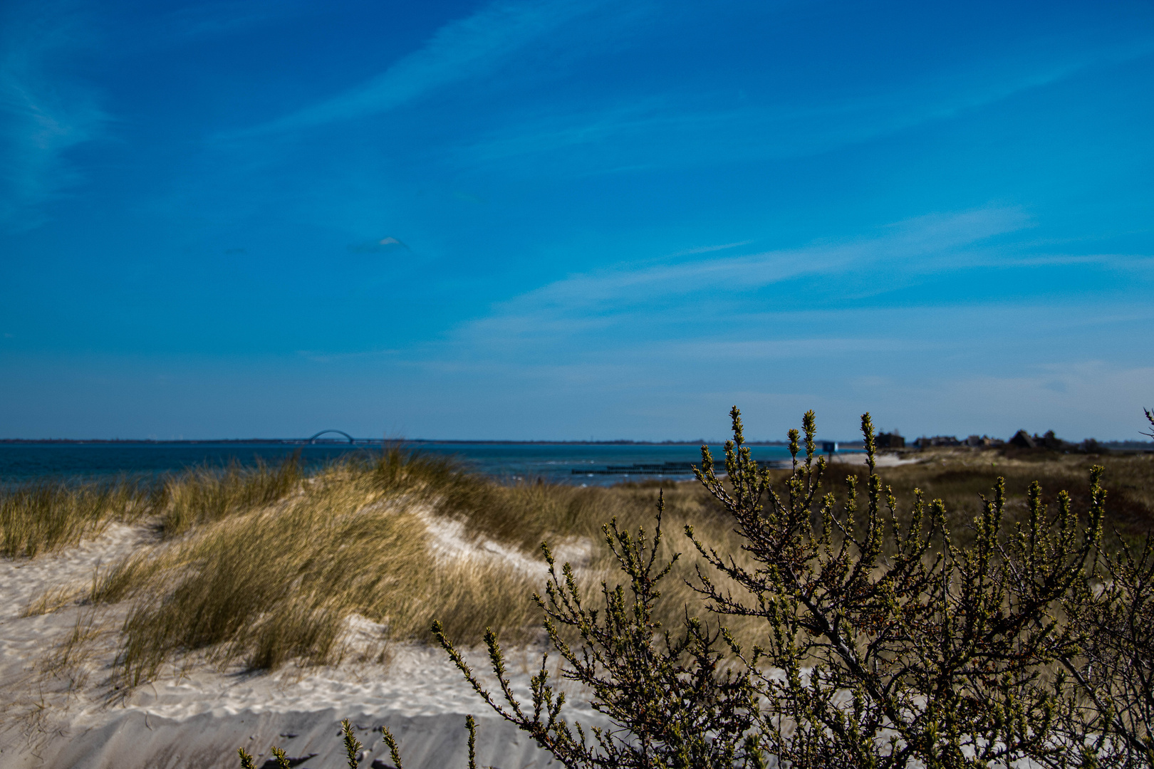 Dünenlandschaft Fehmarn