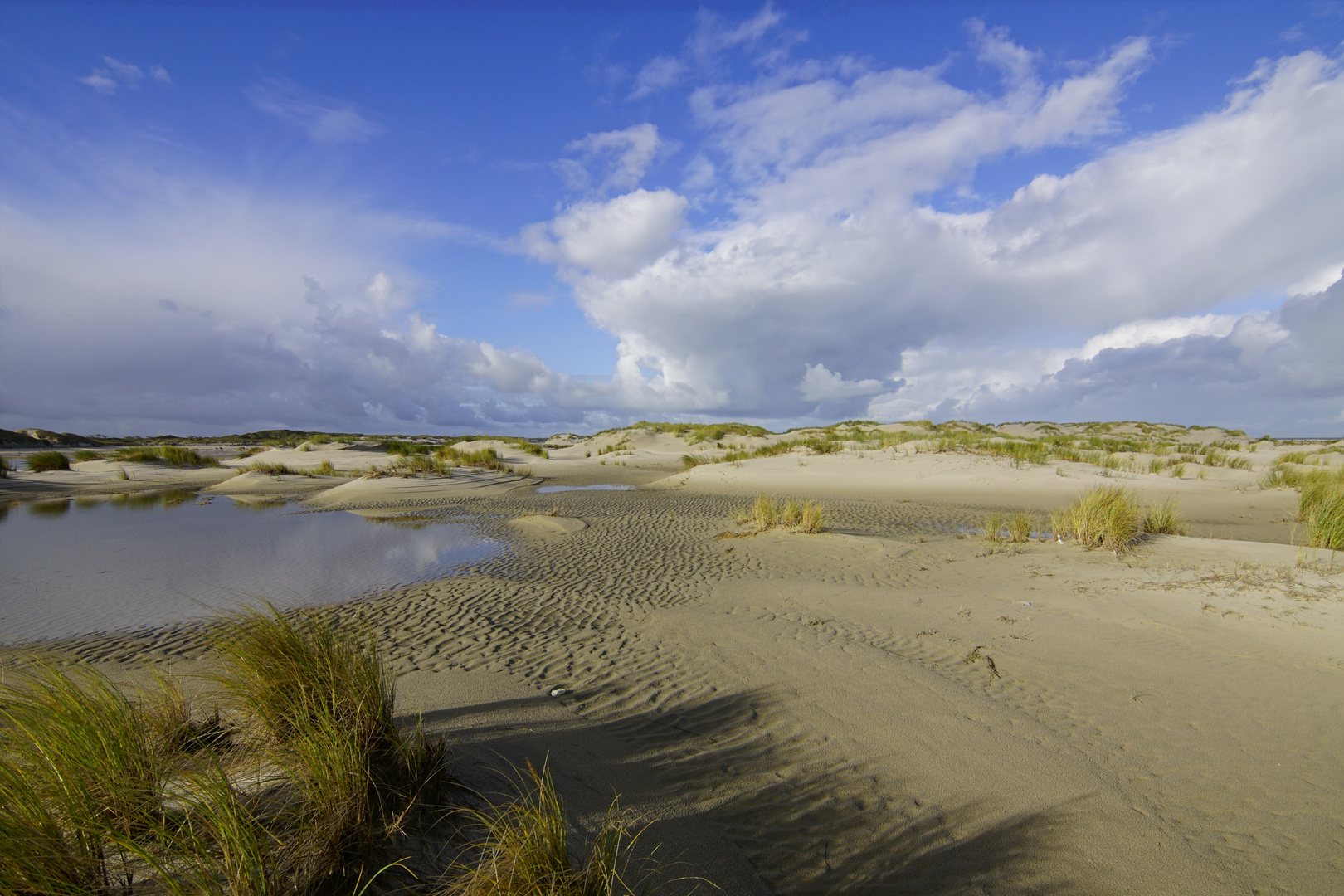 Dünenlandschaft