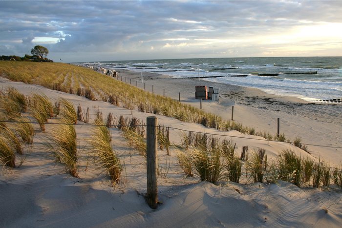 Dünenlandschaft Fischland Darss Ostsee Mai 2004-8