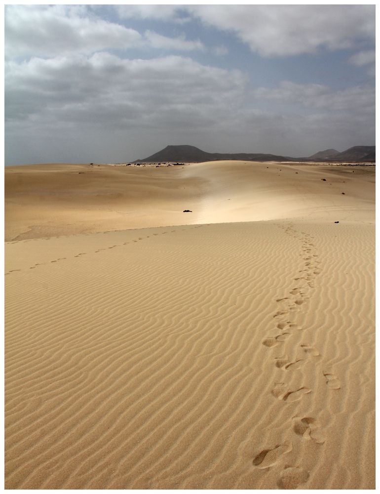 Dünenlandschaft - Fuerteventura