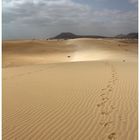 Dünenlandschaft - Fuerteventura