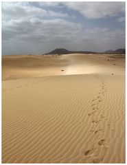 Dünenlandschaft - Fuerteventura