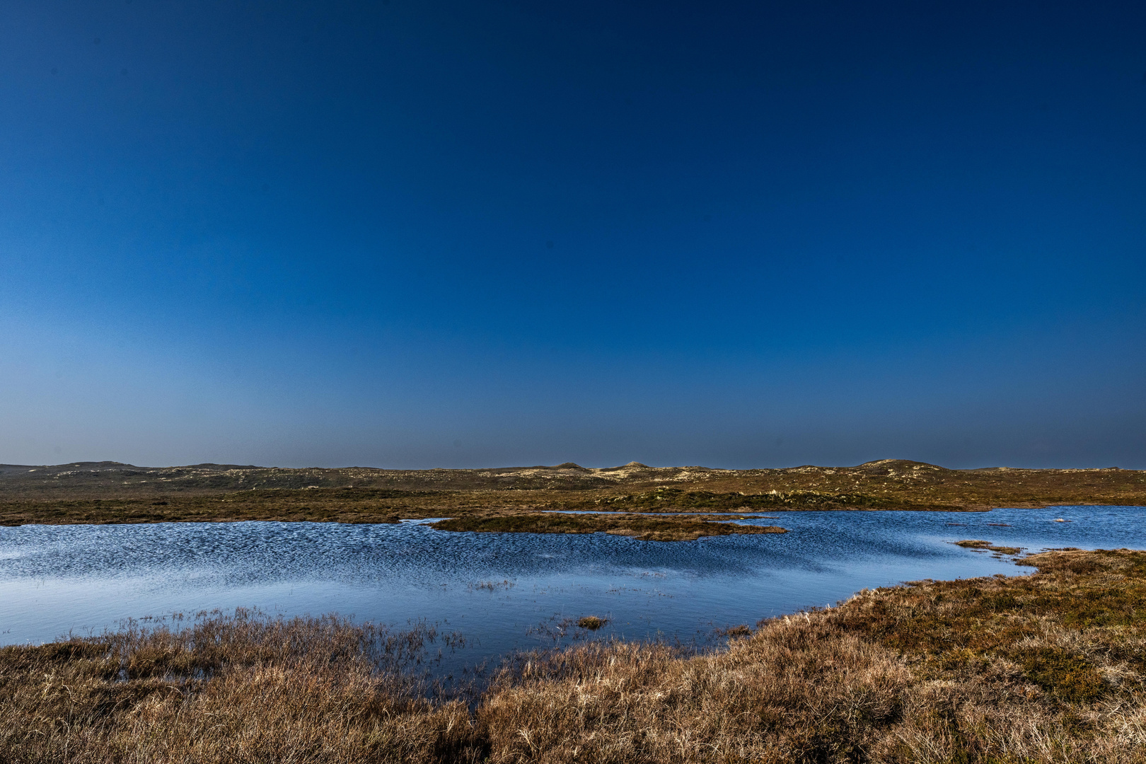 Dünenlandschaft II