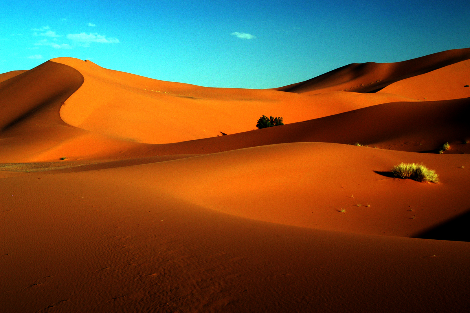 Dünenlandschaft im Erg Chebbi . Nr.2