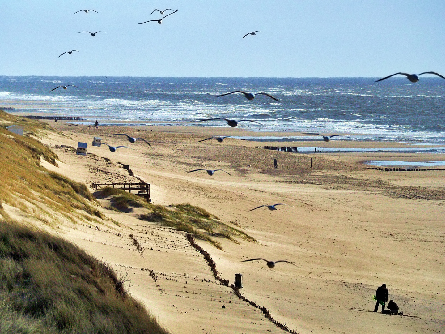 Dünenlandschaft im Frühling (Sylt, März 2019) 