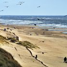 Dünenlandschaft im Frühling (Sylt, März 2019) 