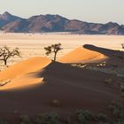 Dünenlandschaft im Morgenlicht