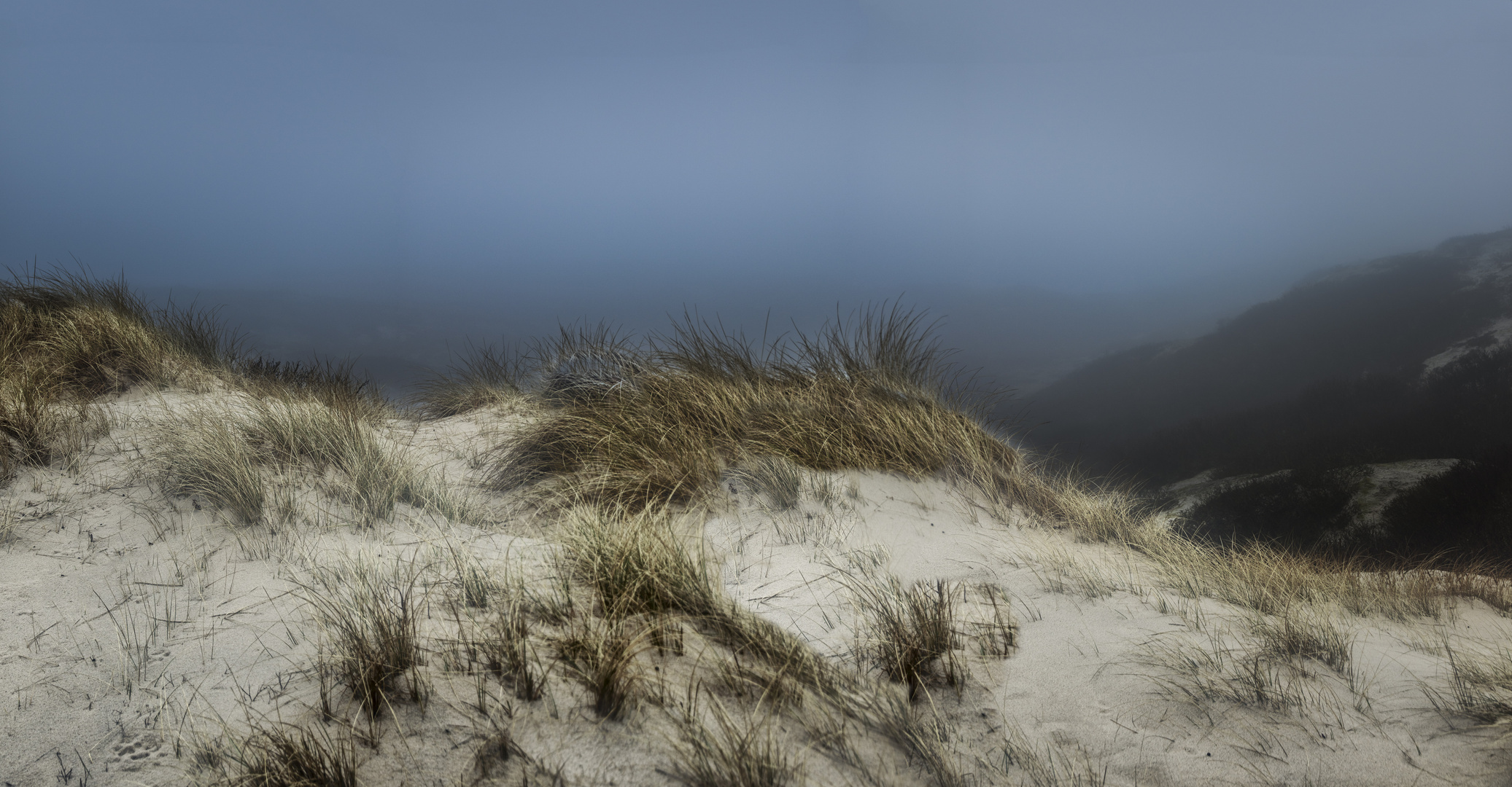 Dünenlandschaft im Nebel