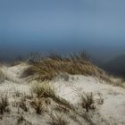 Dünenlandschaft im Nebel